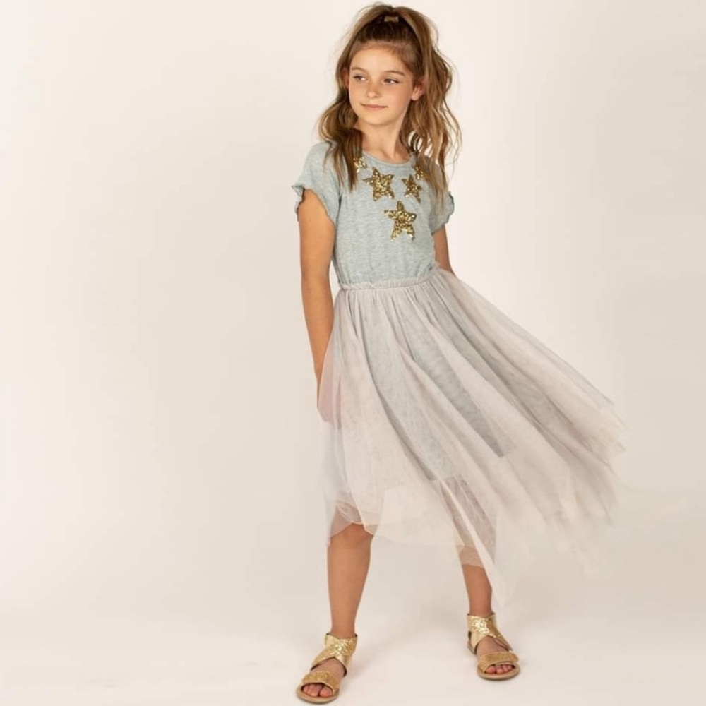Joyfolie Mia Joy Feya Dress in Heather Gray Size 8